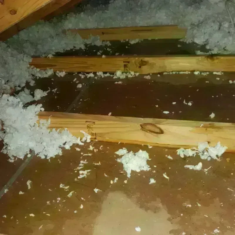 Attic Water Damage in Jackson County, AL