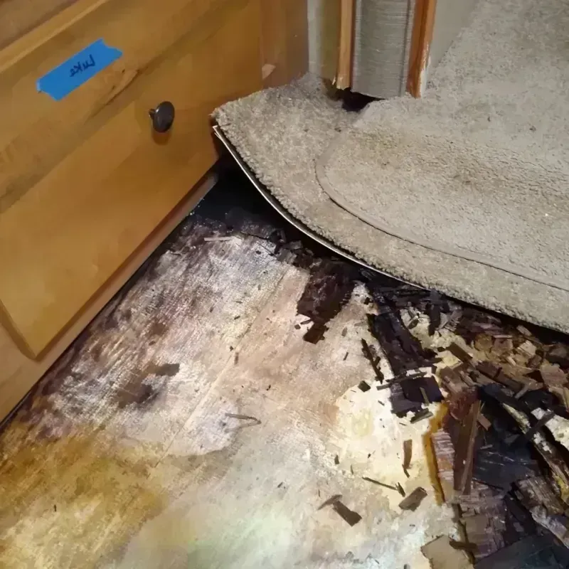 Wood Floor Water Damage in Jackson County, AL